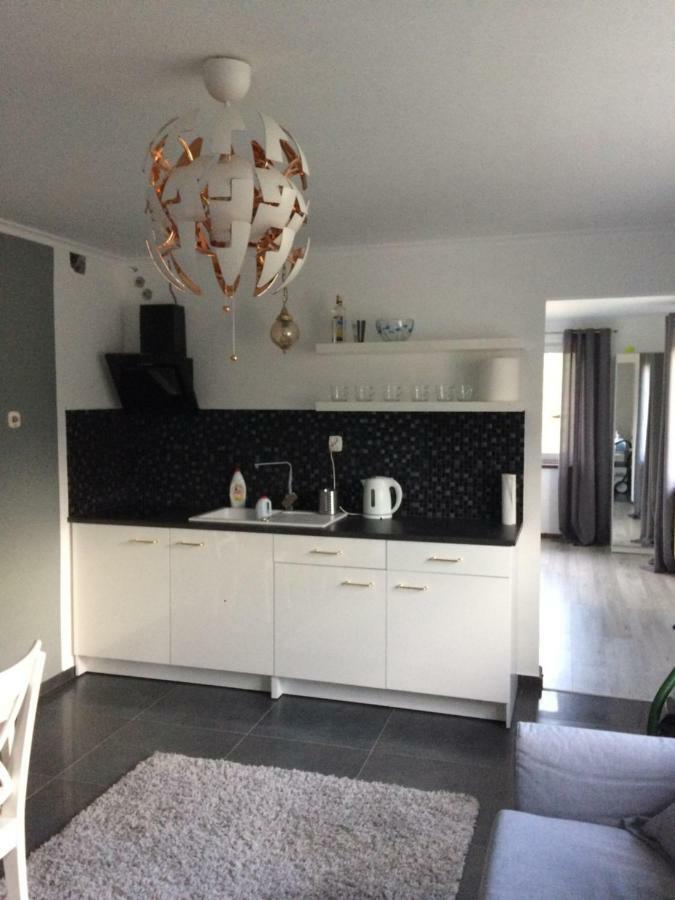 Apartamenty I Pokoje U Staszelow Poronin Exterior foto
