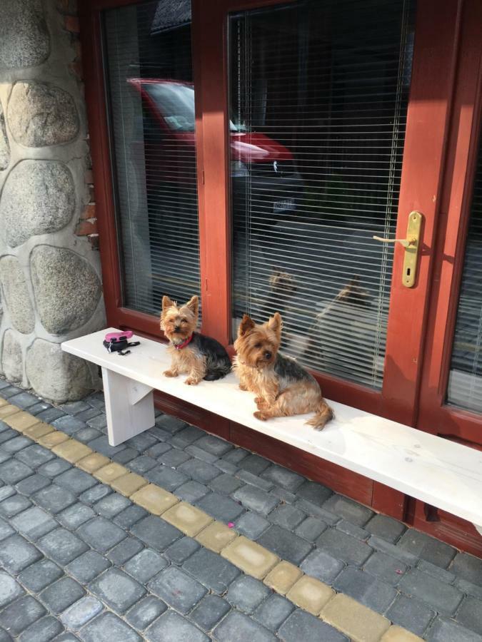 Apartamenty I Pokoje U Staszelow Poronin Exterior foto
